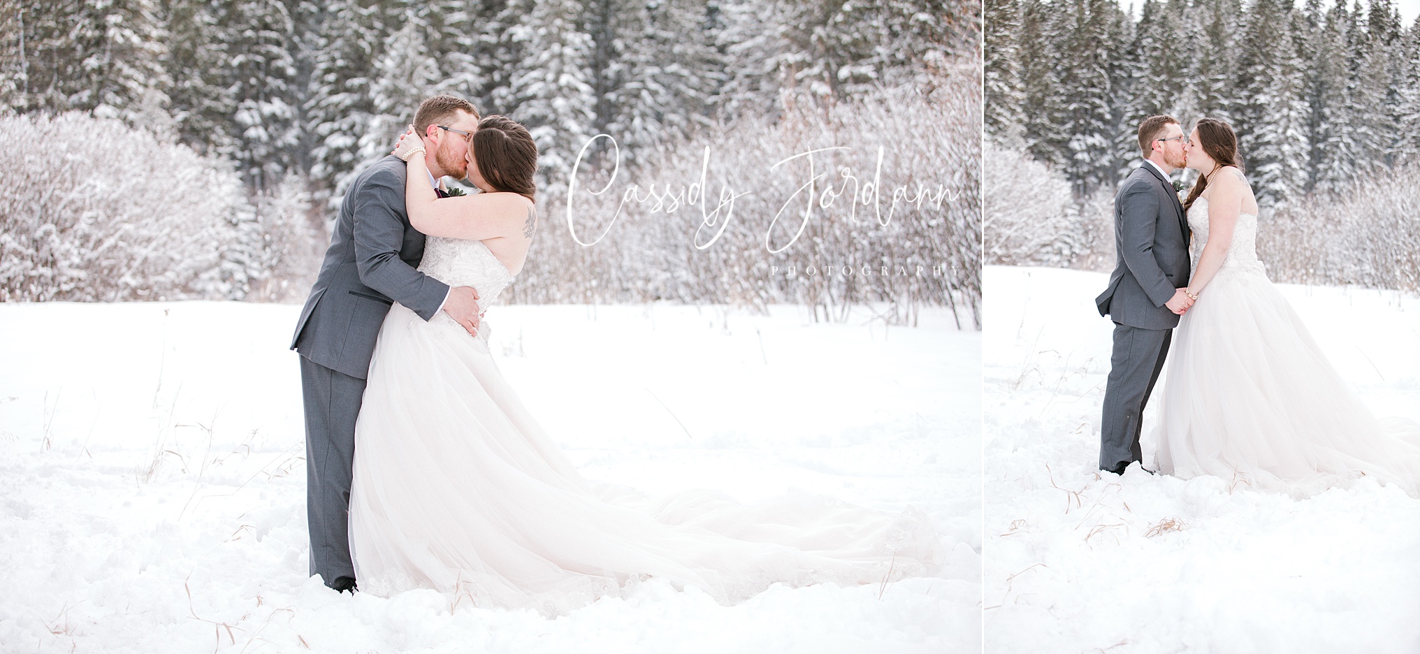 RedDeerWinterWedding_0065.jpg